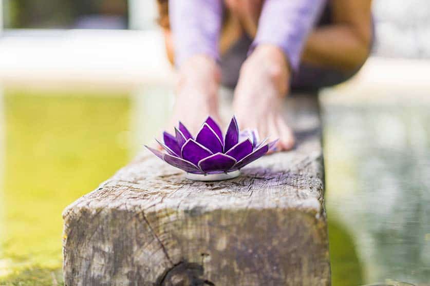wellnessblume Schweiz Sauna Wellnessprojektberater Wellnessblume by Wellnessprojektberater Schweiz